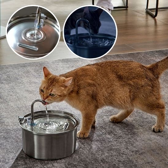 Fontaine à eau automatique pour chats