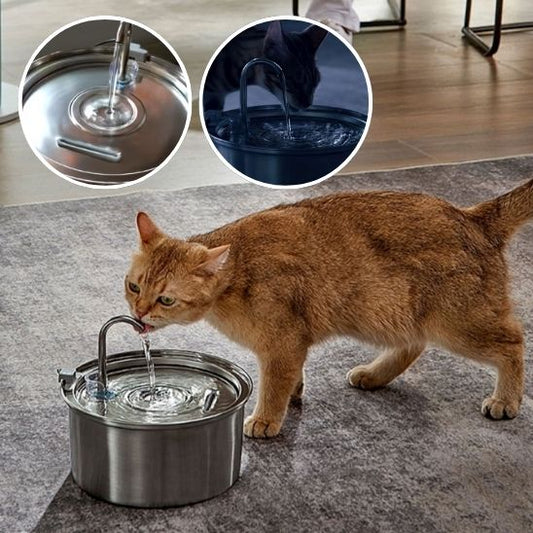 Fontaine à eau automatique pour chats