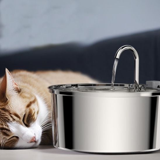 Fontaine à eau automatique pour chats