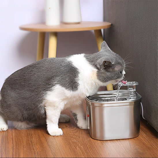 Fontaine à Eau pour Chat en Acier Inoxydable