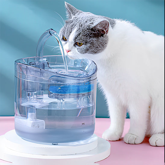 Fontaine Automatique pour Chat