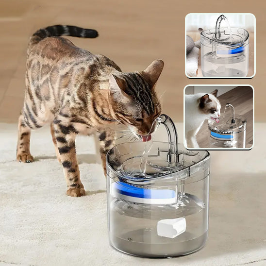 Fontaine Automatique pour Chat