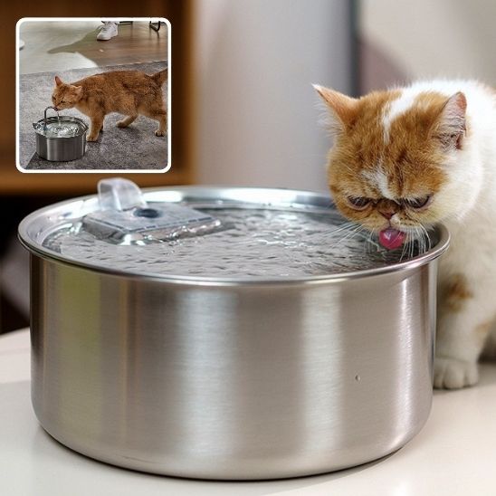 Fontaine à eau automatique pour chats