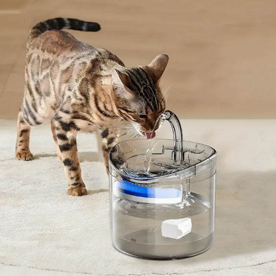 Fontaine Automatique pour Chat