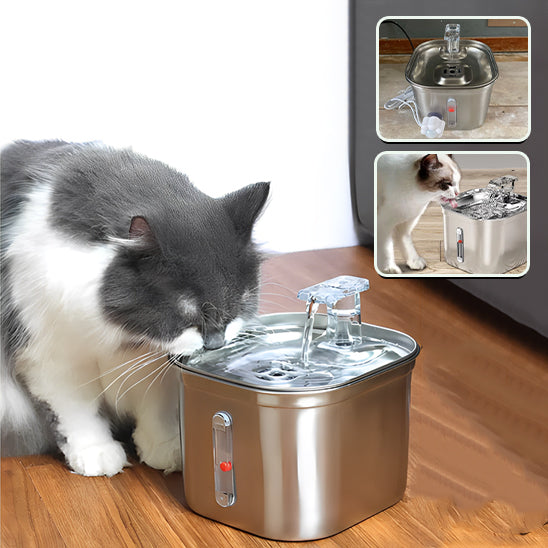 Fontaine à Eau pour Chat en Acier Inoxydable