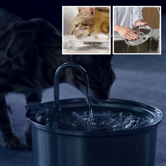 Fontaine à eau automatique pour chats