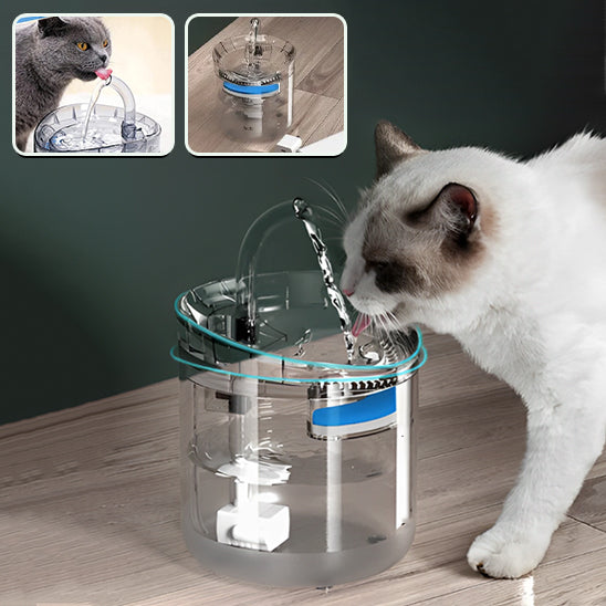 Fontaine Automatique pour Chat