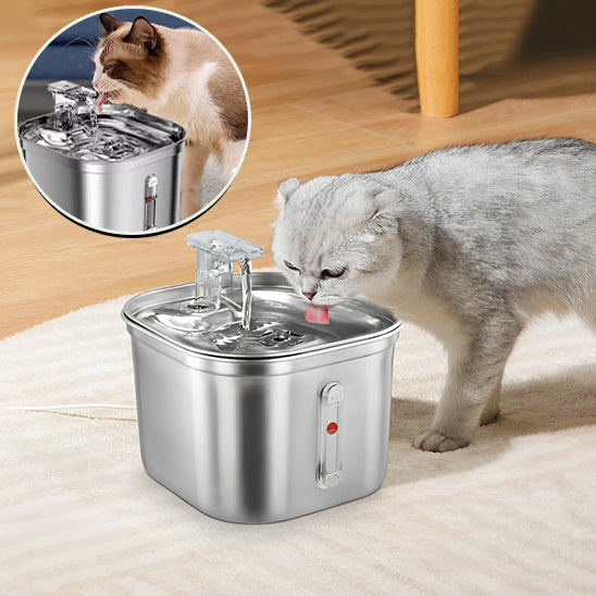 Fontaine à Eau pour Chat en Acier Inoxydable