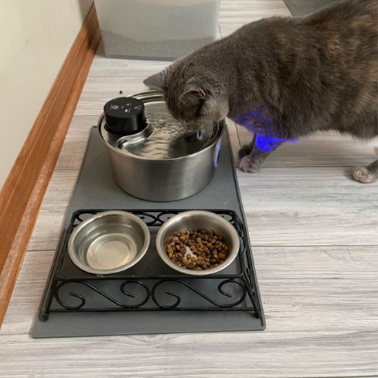 Fontaine à Eau Sans Fil pour Chat