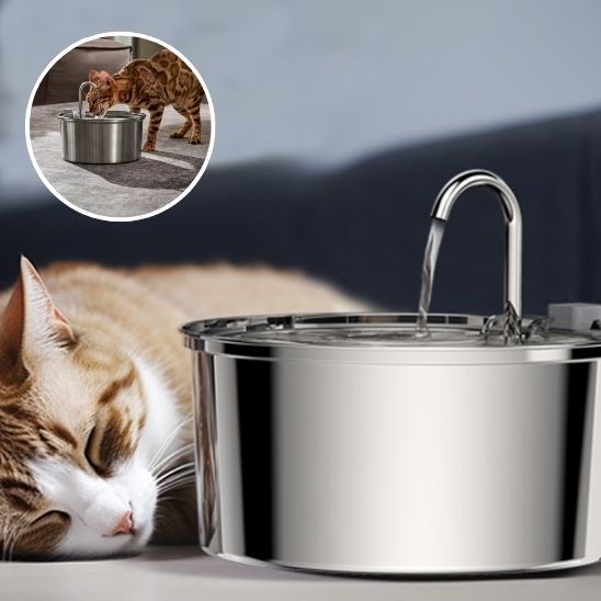 Fontaine à eau automatique pour chats