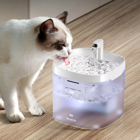 Filtres de Rechange pour Fontaine à Eau pour Chat