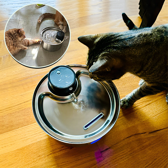 Fontaine à Eau Sans Fil pour Chat