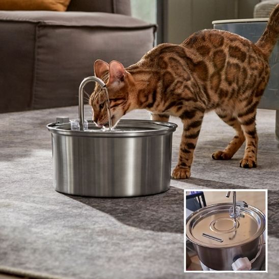 Fontaine à eau automatique pour chats