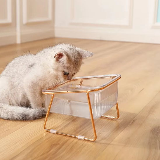 Gamelle Surélevée pour Chat