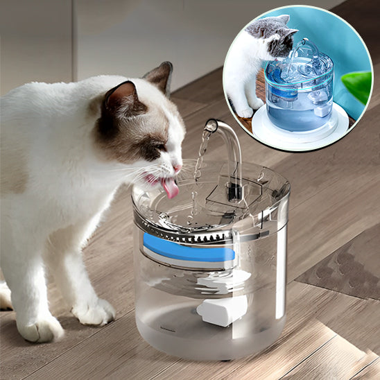 Fontaine Automatique pour Chat