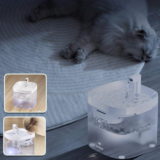 Fontaine à Eau Transparente pour Chat