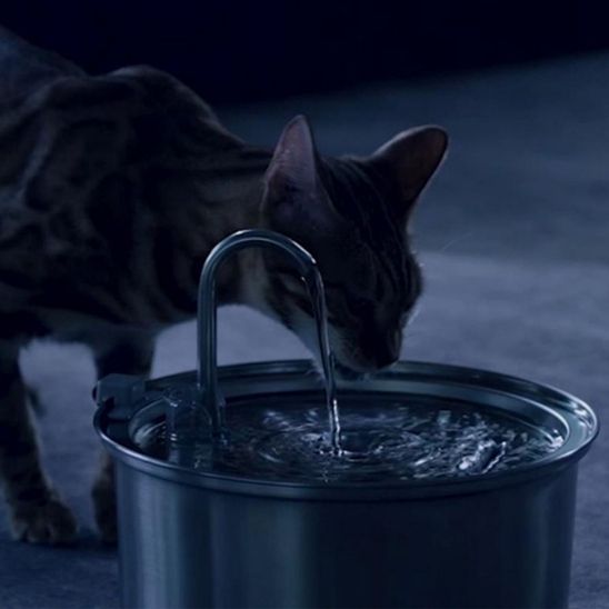 Fontaine à eau automatique pour chats