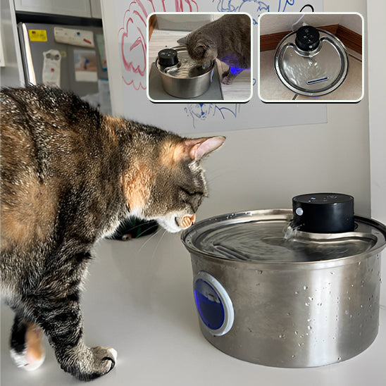 Fontaine à Eau Sans Fil pour Chat