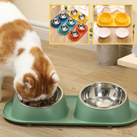 Double bol en acier inoxydable pour chats