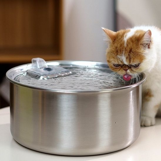 Fontaine à eau automatique pour chats