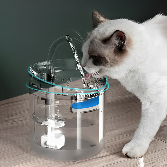 Fontaine Automatique pour Chat