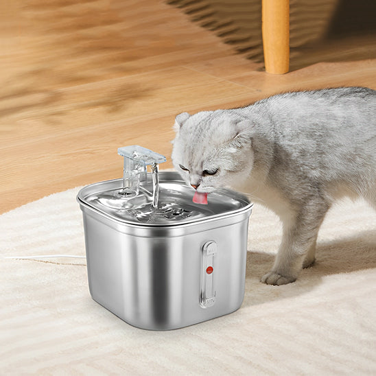 Fontaine à Eau pour Chat en Acier Inoxydable