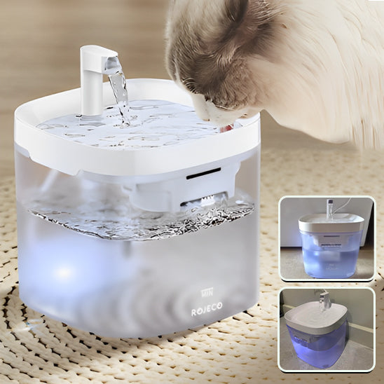 Fontaine à Eau Transparente pour Chat