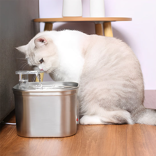 Fontaine à Eau pour Chat en Acier Inoxydable