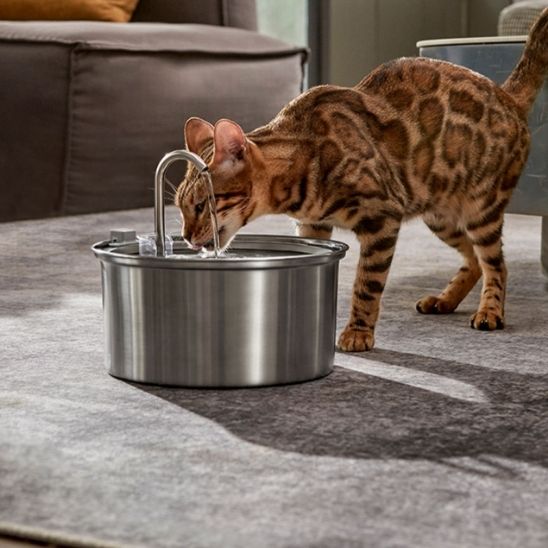 Filtres de Rechange pour Fontaine à Eau pour Chat