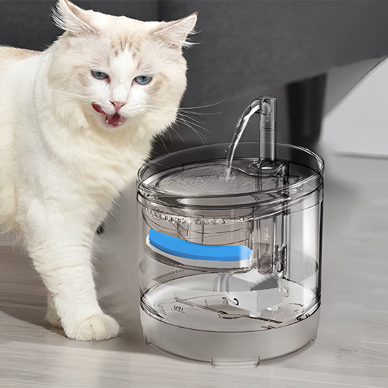 Fontaine Automatique pour Chat