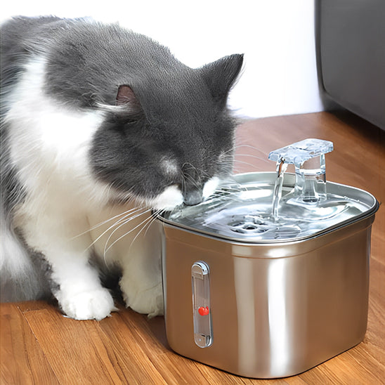 Fontaine à Eau pour Chat en Acier Inoxydable