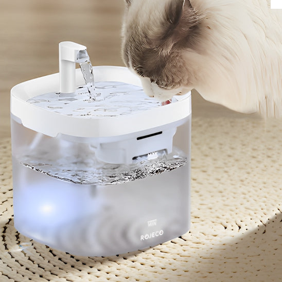 Fontaine à Eau Transparente pour Chat